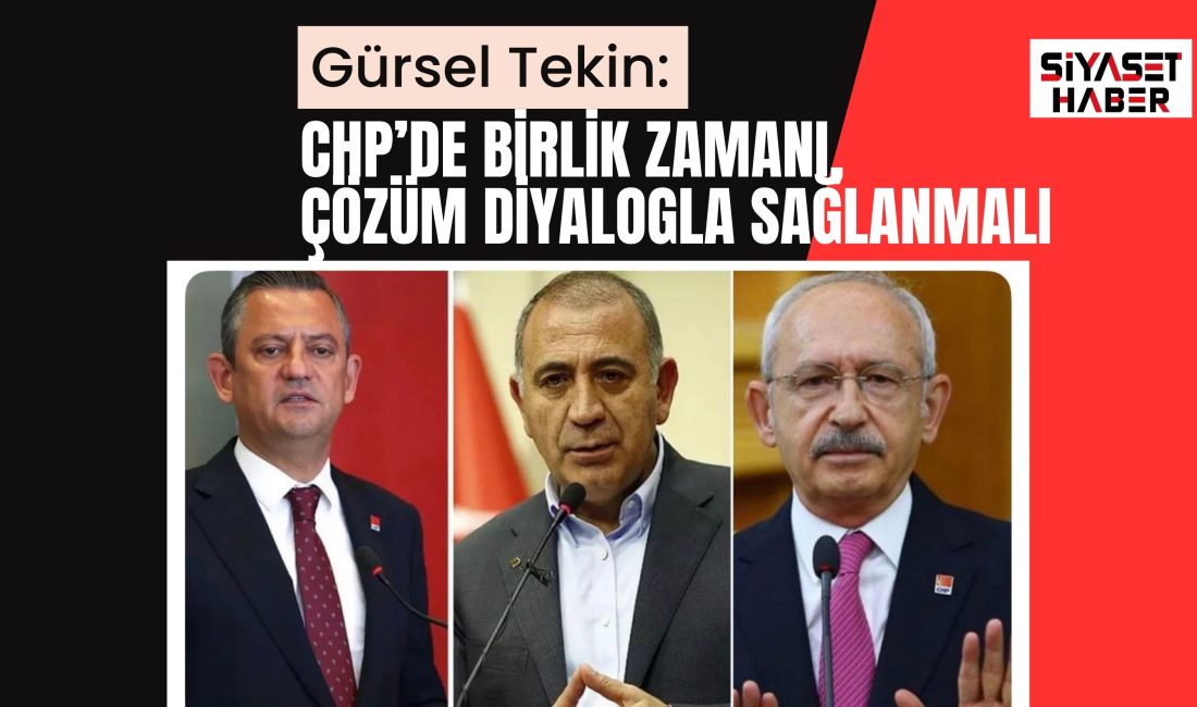 Siyaset Haber - CHP İstanbul İl Başkanı Gürsel Tekin, parti