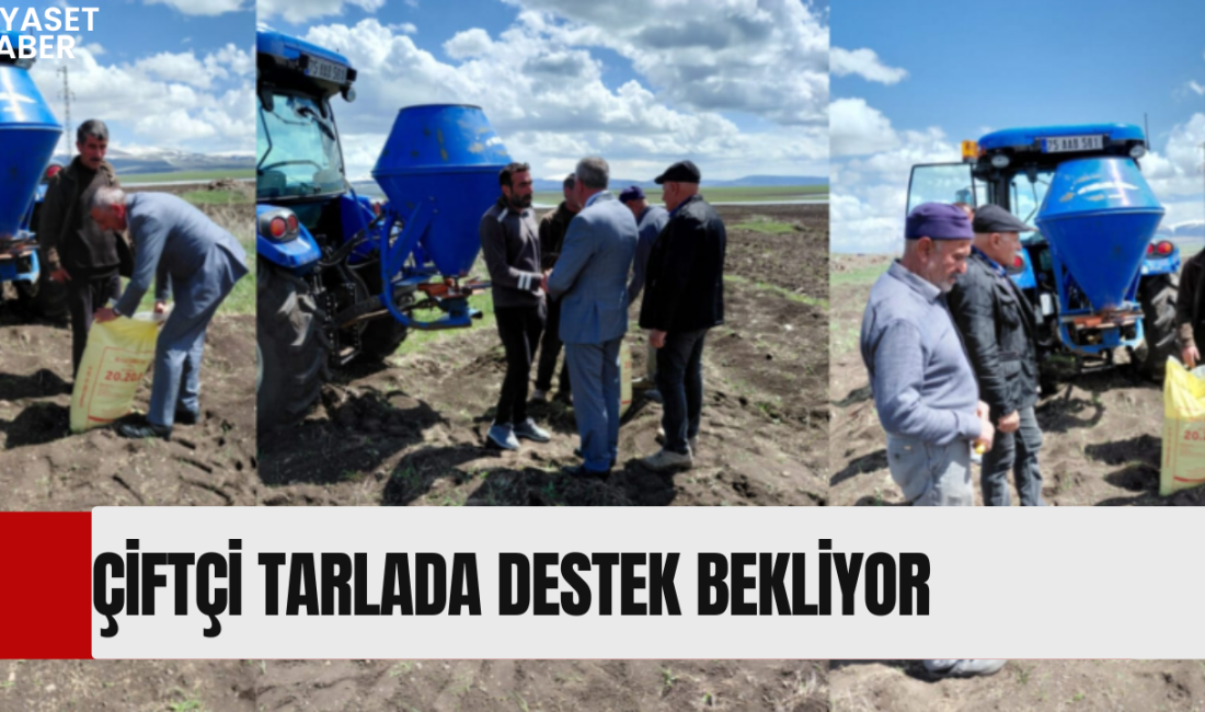 CHP Göle İlçe Başkanı Recai Özalp, çiftçilerle birlikte tarlaya inerek