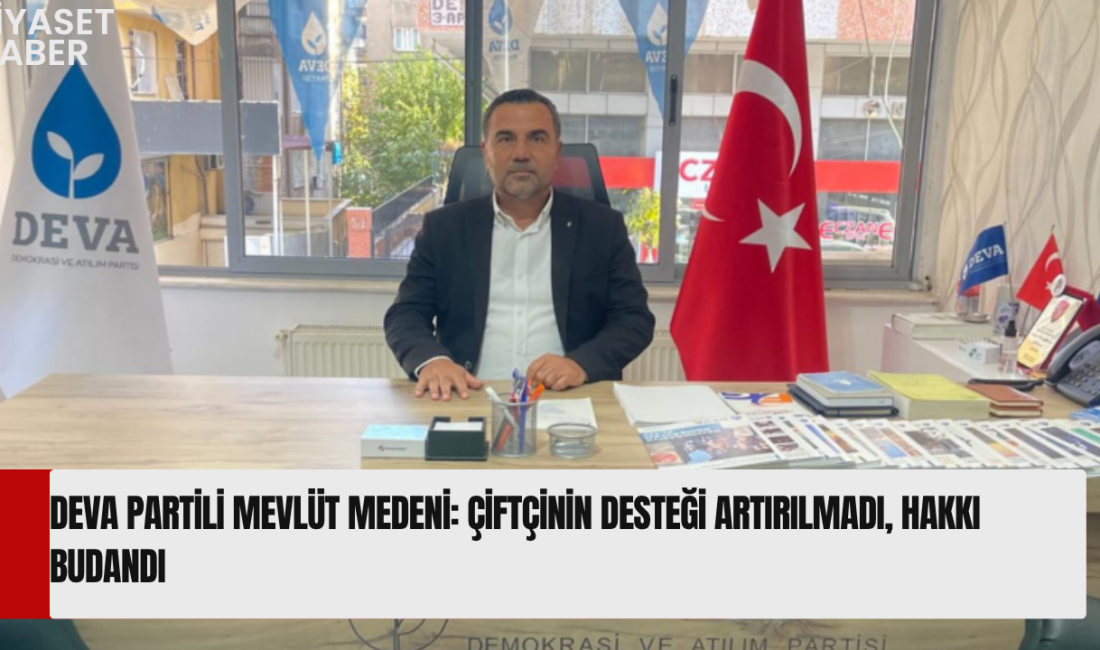 DEVA Partisi Genel Merkez Sivil Toplum İlişkiler Başkan Yardımcısı Mevlüt